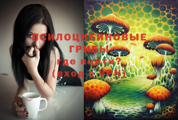 марихуана Новодвинск