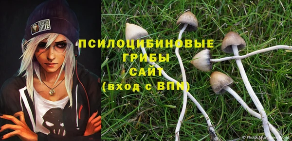 дживик Новокубанск